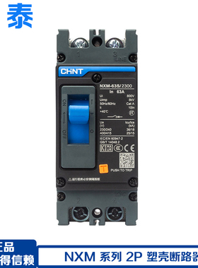 正泰NXM-63S/125S 2300 2P塑壳断路器2P 32A63A100A125总空气开关