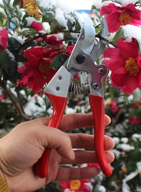 张小泉 整枝剪 园艺剪刀 修枝剪 园林剪 花剪树枝剪ZH301 302 303