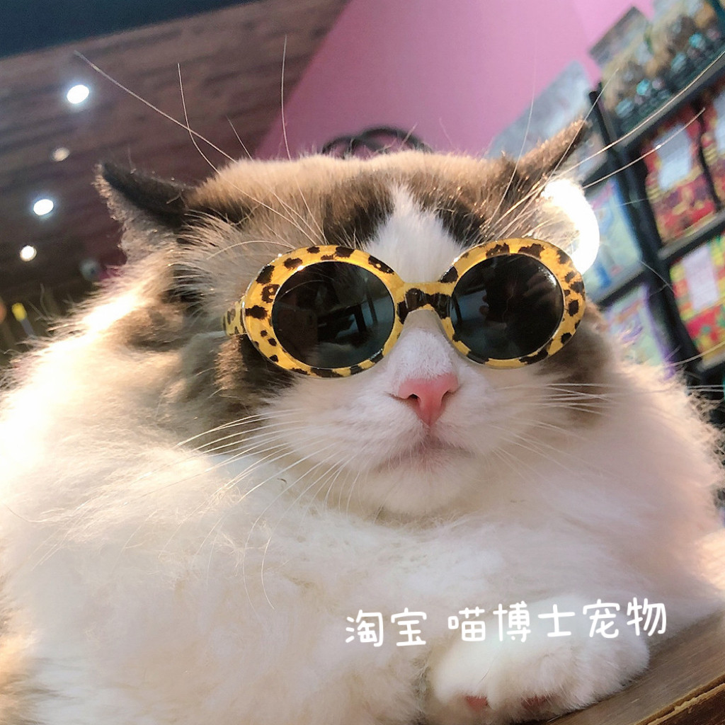 宠物猫咪狗狗眼镜拍照道具墨镜