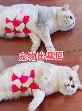 猫咪比基尼宠物搞笑内衣狗狗胸罩