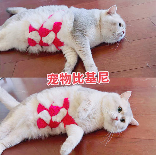 猫咪比基尼宠物搞笑内衣狗狗胸罩
