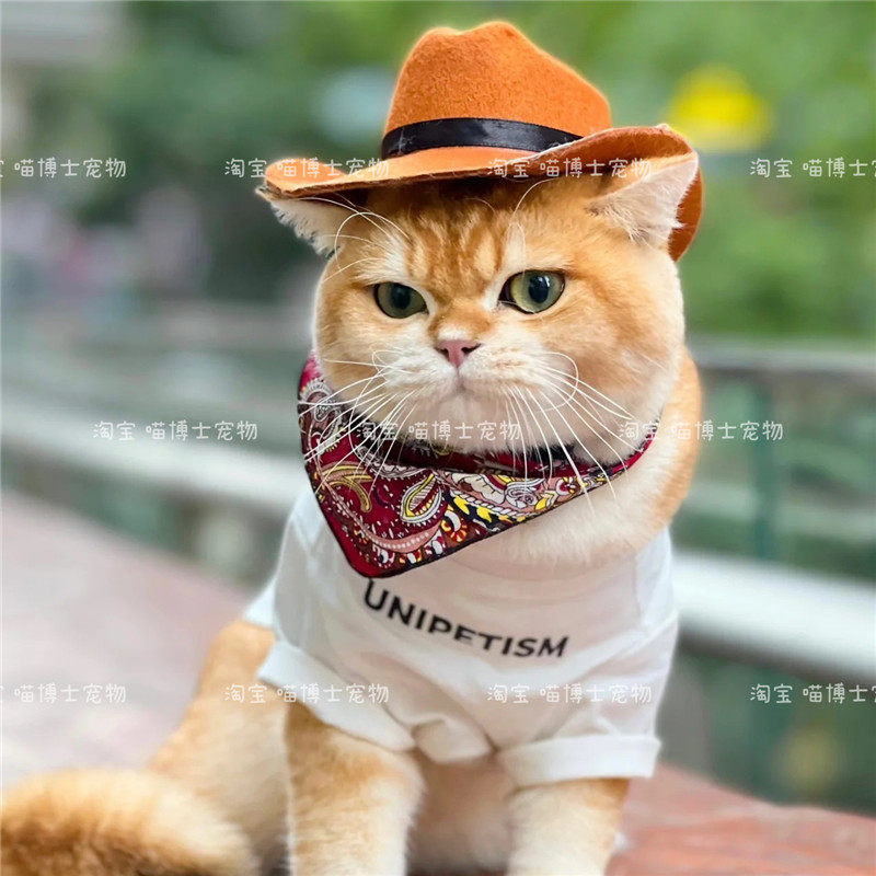 猫咪装饰帽宠物头饰品西部牛仔帽狗狗拍照三角巾项圈变装帽子牛仔