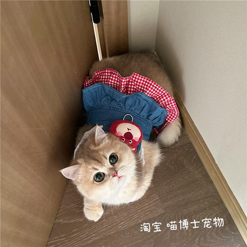 草莓熊猫咪衣服小黄鸡狗狗连衣裙