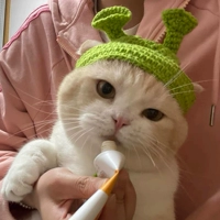 Зеленая шапка