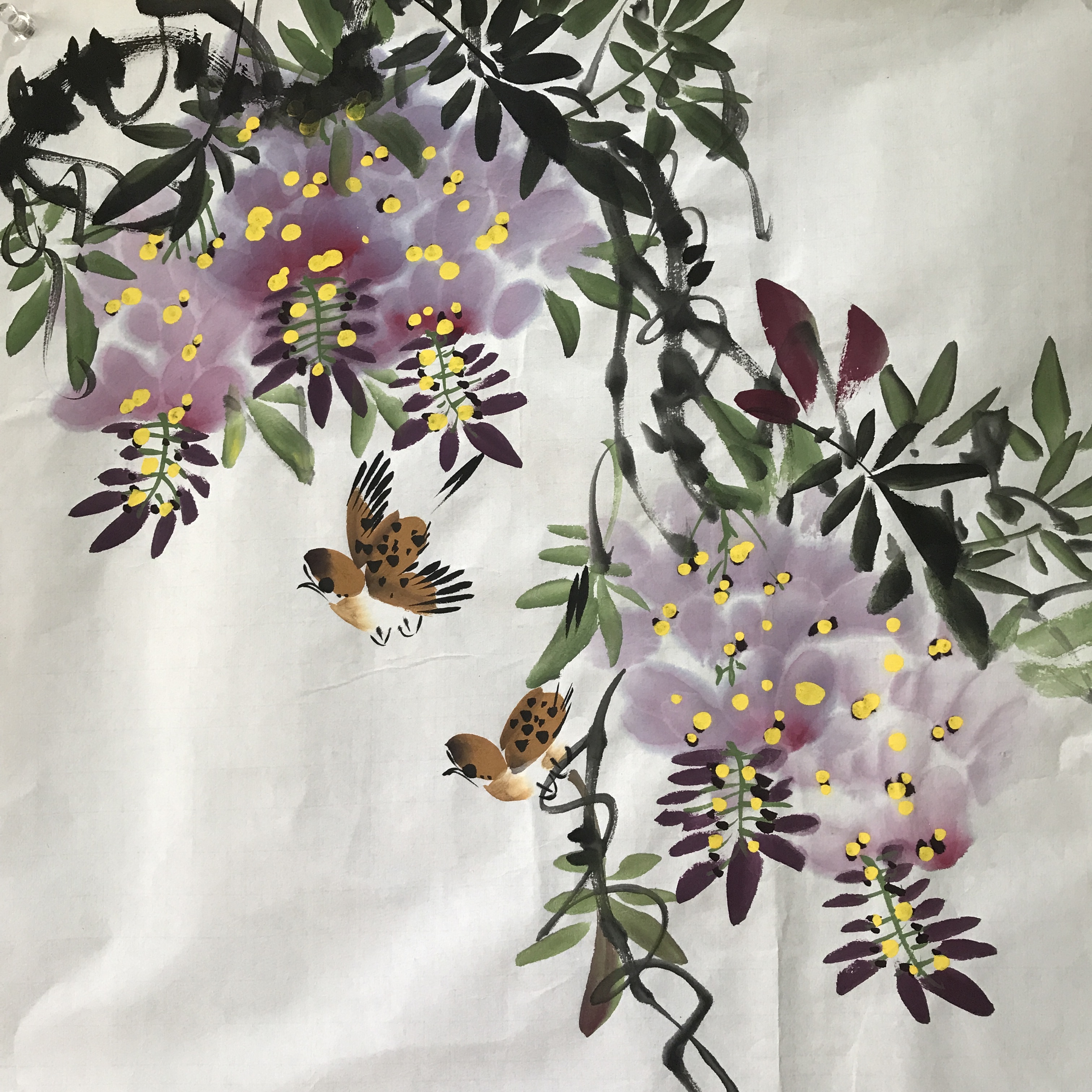 紫气东来三尺斗方纯手绘紫藤花鸟国画来财字画客厅玄关装饰画