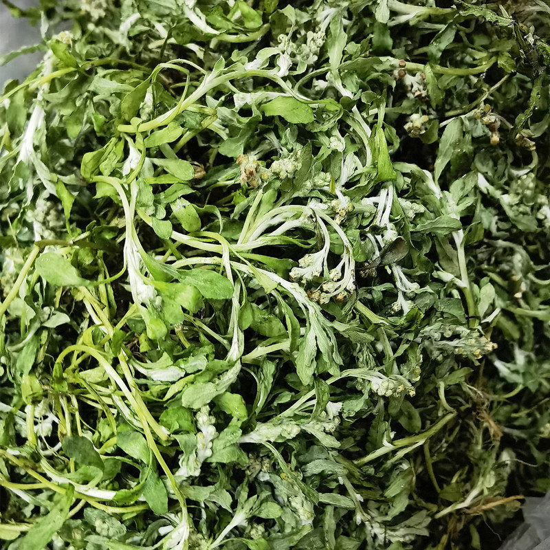 潮汕鼠壳草新鲜清明草白花小号佛耳草绒毛鼠曲草现采艾草粿团原料,水产肉类/新鲜蔬果/熟食,其它,淘宝优惠券,粉丝福利购,淘宝优惠卷