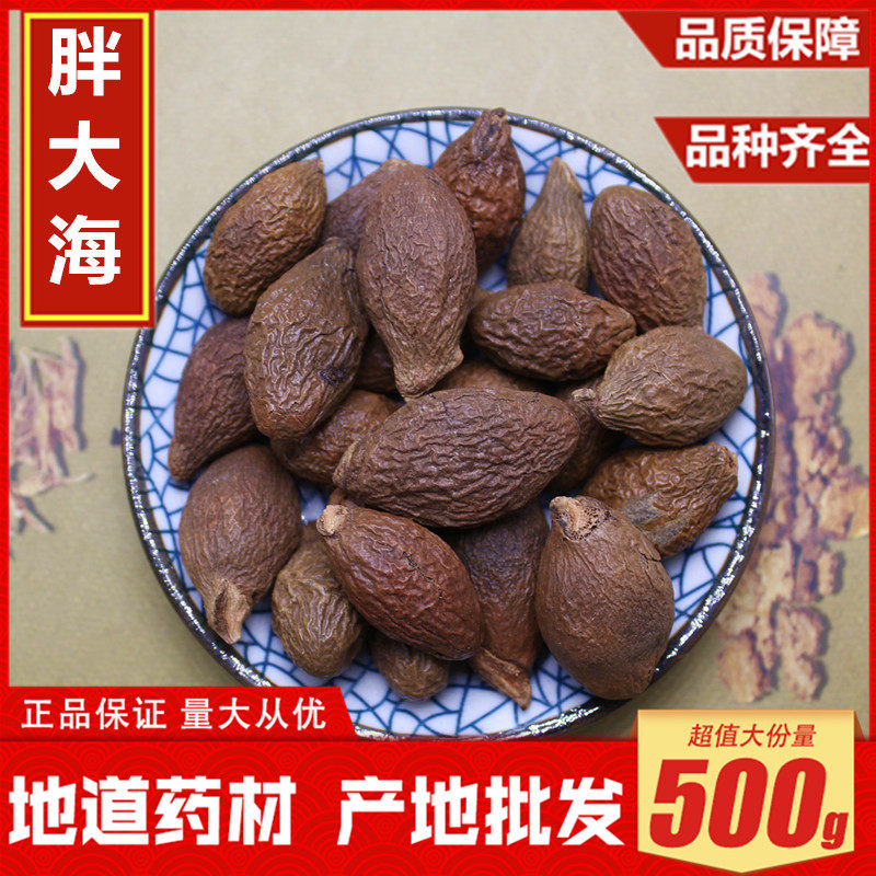 特级胖大海新货精选颗粒饱满