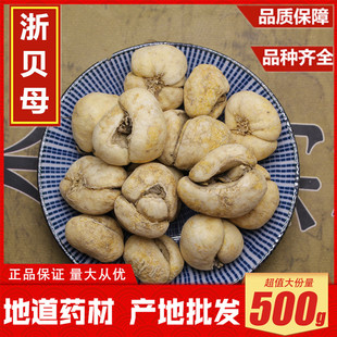 浙贝母 中药材浙贝500克整个无硫新货象贝、大贝母 土贝 珠贝包邮