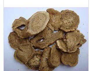 新货木香广木香片 云木香500克包邮无硫中药材可打粉另有甘松藿香