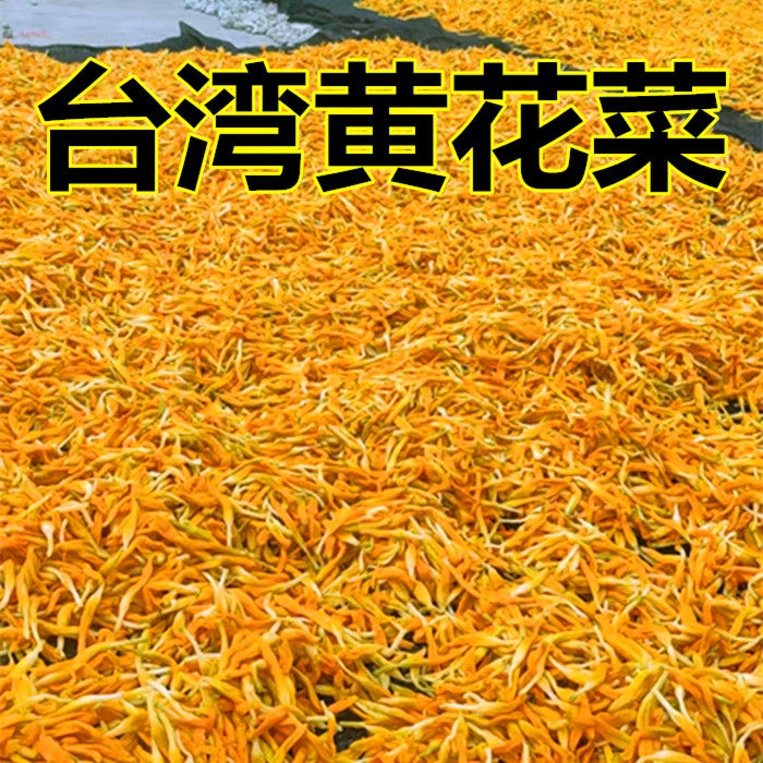 25年新品台湾黄花菜金针菜萱草花高山针金菜500克包邮