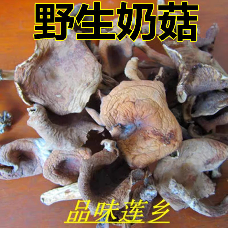 建宁杂菇红奶浆菌奶奶野生食用菌