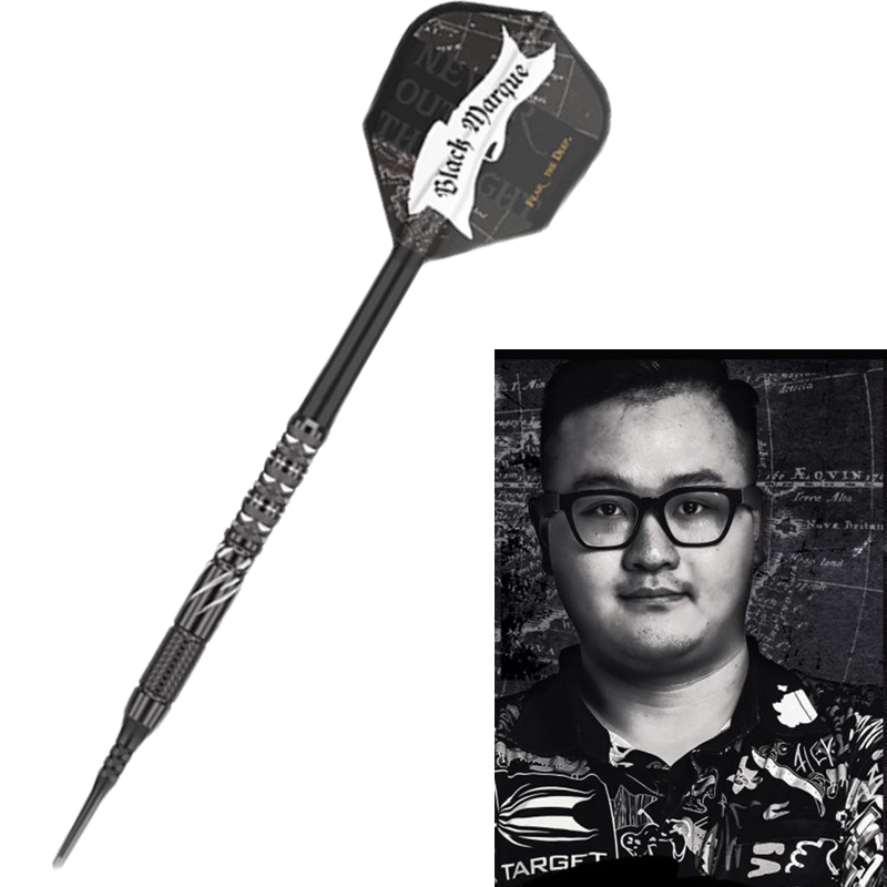 龙仔飞镖TARGET专业DRACO钨钢