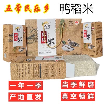 2025新大米五常朝鲜族民乐乡农民合作社稻花香2号大米10斤