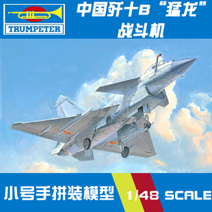 48中国空军歼10B猛龙战斗机02848 小号手军事飞机拼装 模型航模1