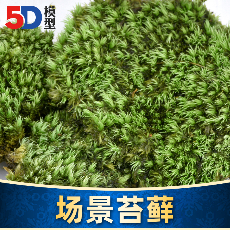 高达军事微缩模型地台植物