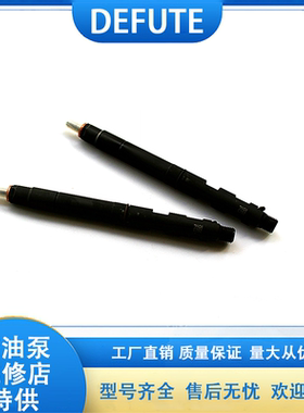 柴油机喷油器 EJBR04601D EJBR04701D 适用于德尔福双龙欧3