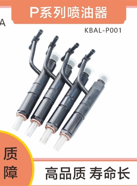 全新国产 泵式喷油器KBAL-P001配DSLA153P009 DLLA154P001喷油嘴