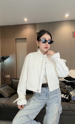 欧货春装新款休闲百搭复古短外套洋气设计感立领小个子女夹克上衣