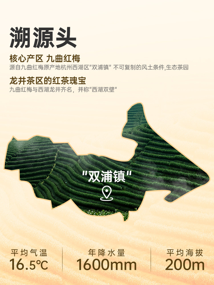 Shifeng Jiuqu Hongmei Black Tea Premium Grade Hangzhou - Product image 2