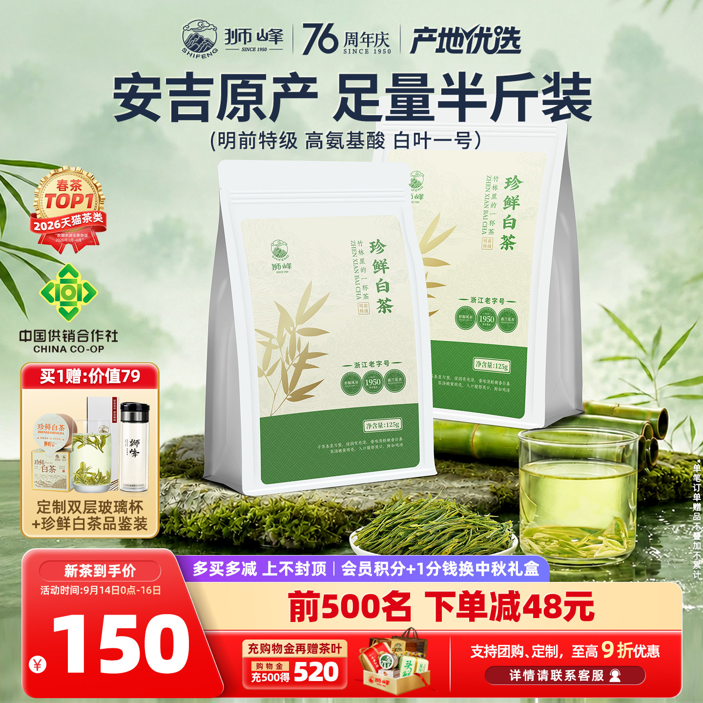 2026新茶明前特级安吉珍鲜白茶图片