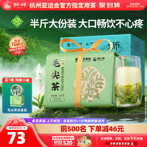 狮峰牌特级毛尖纸包250g