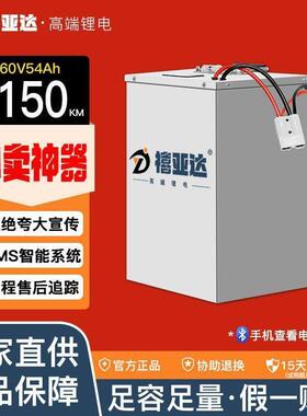 【禧亚达】60V54AH国轩大单体大容量磷酸铁锂电池外卖电摩三轮车