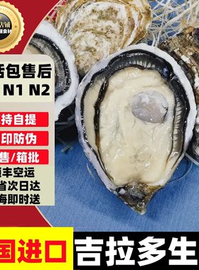 法国吉拉多生蚝新鲜直达吉娜朵生蚝上海闪送包活外省顺丰空运特快