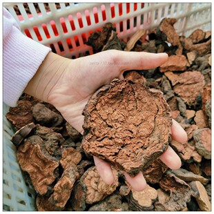 大别山野生首乌散装500g纯山野何首乌天然生首乌