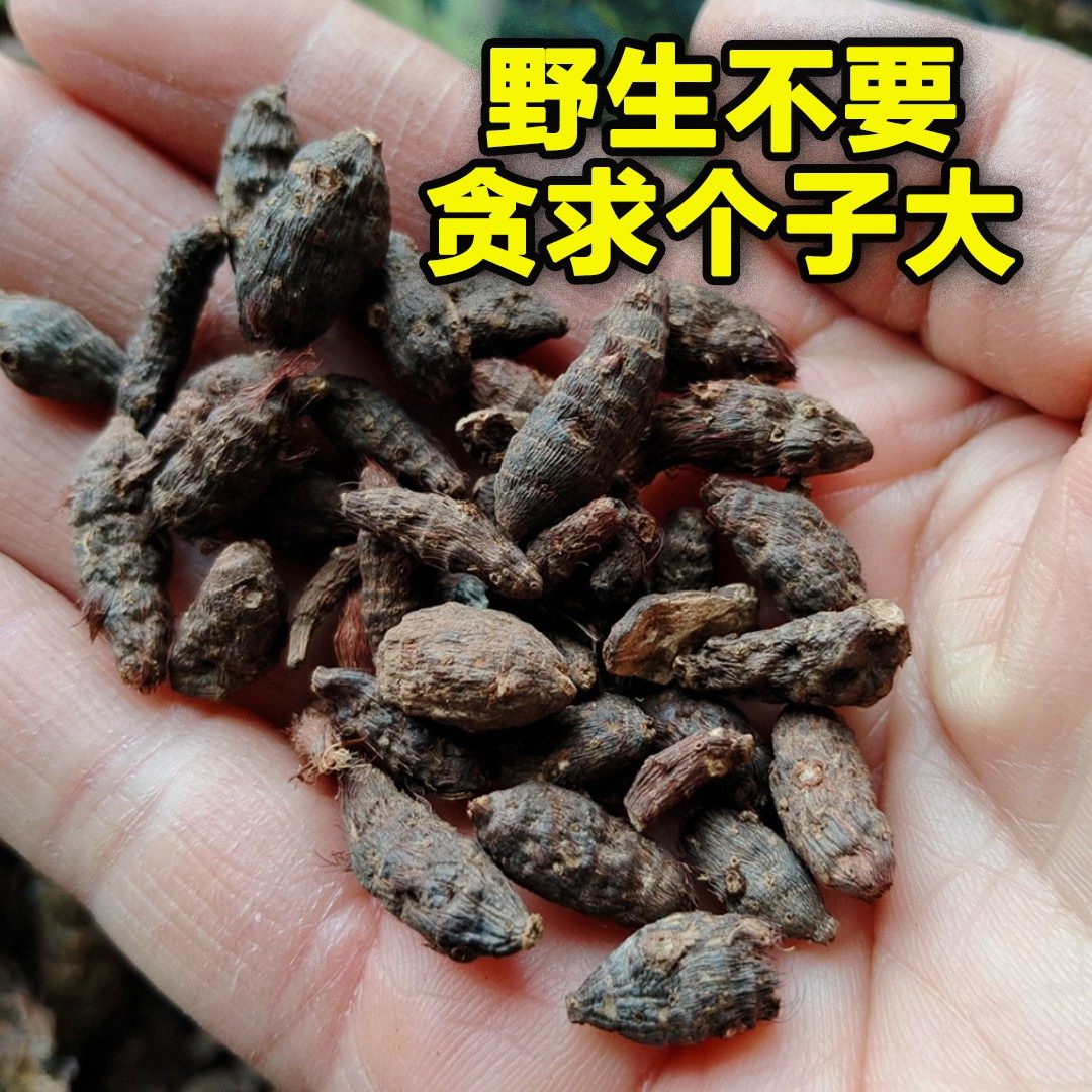 大别山野生香附莎草雷公子散装500g纯山野天然回头青