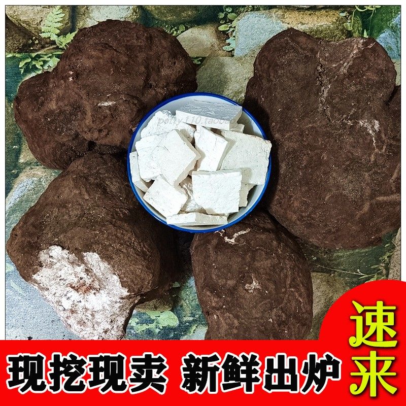 茯苓现挖现切无漂白无添加无防腐剂真品沙地现挖出松茯苓原始茯苓