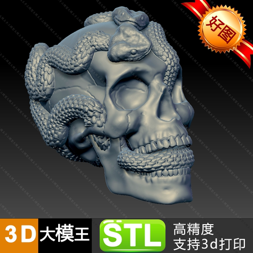 骷髅与蛇模型三维模型数据模型STL模型3D打印模型ZTL两种格式