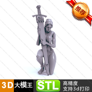 追随者三维模型数据模型STL模型3D打印模型