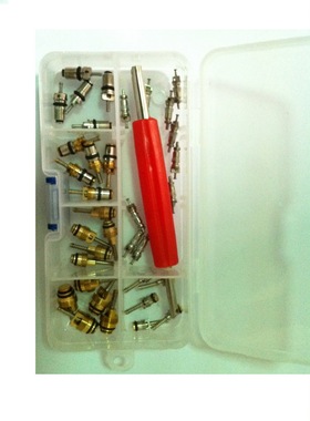 CH-236汽车空调气门芯气门嘴心高低压阀心组合送双头工具 30PCS