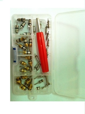 CH-236汽车空调气门芯气门嘴心高低压阀心组合送双头工具 30PCS