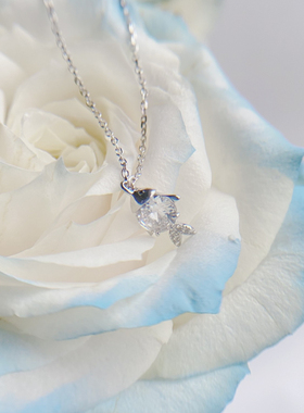 通体纯银简约不掉色鱼锁骨链