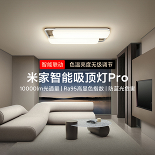 客厅卧室吸顶灯亮度色温无级调节小爱声控 小米米家智能吸顶灯Pro