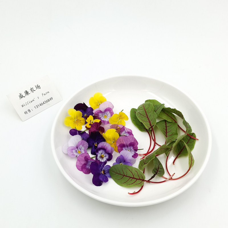 装饰套餐五:酒店摆盘装饰红线酸模30g 三色堇10g