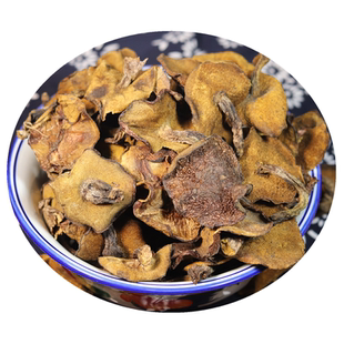 崂山菇野生崂山蘑菇小鸡炖崂山松蘑松菇干酒店特色菜山东青岛特产