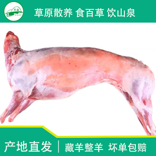 【溜达羊】青海羊肉 羊肉现杀新鲜冷冻羊酮体羊排羊腿整只白条羊