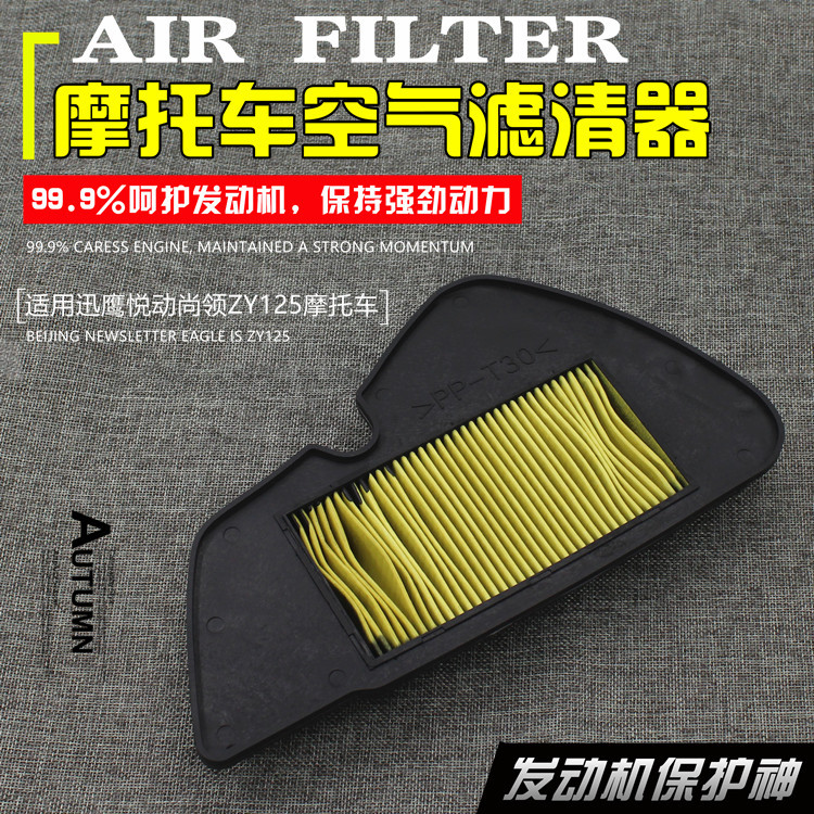 摩托车迅鹰 悦动尚领zy125空气滤芯器空气格滤清器空滤器配件