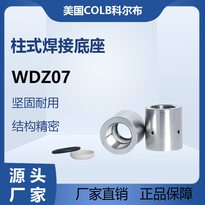 WDZ07柱式焊接底座变送器CHAVEZ