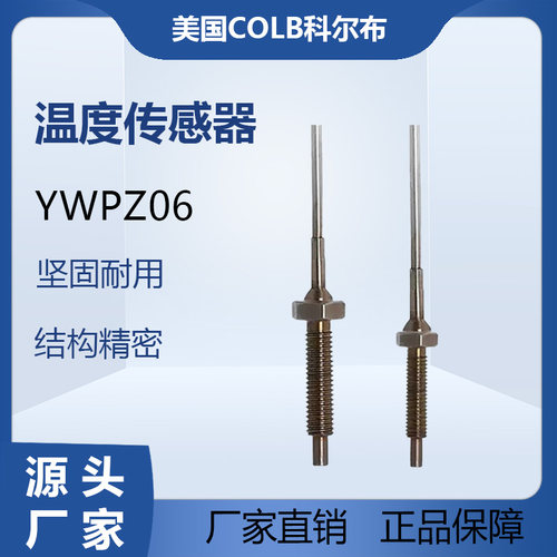 CWDZ06传感器查韦斯铂热电阻温度