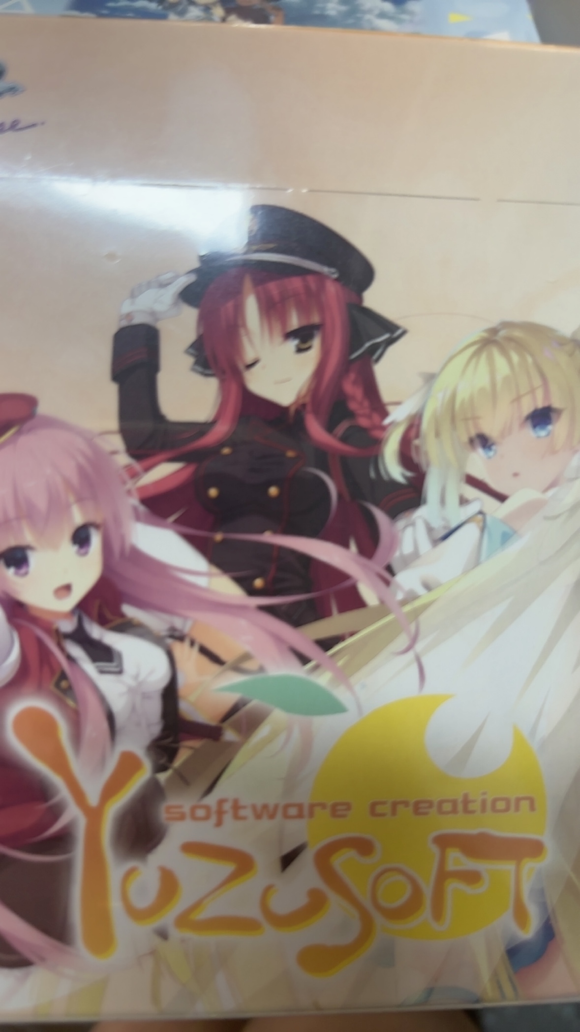 WSR日文柚子社 散包盲盒类产品拆开不退