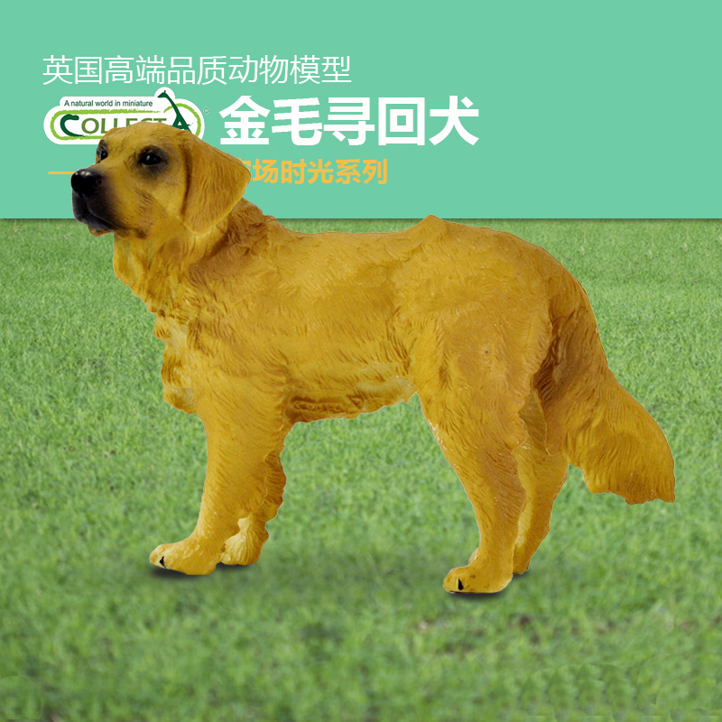 collecta动物模型玩具摆件
