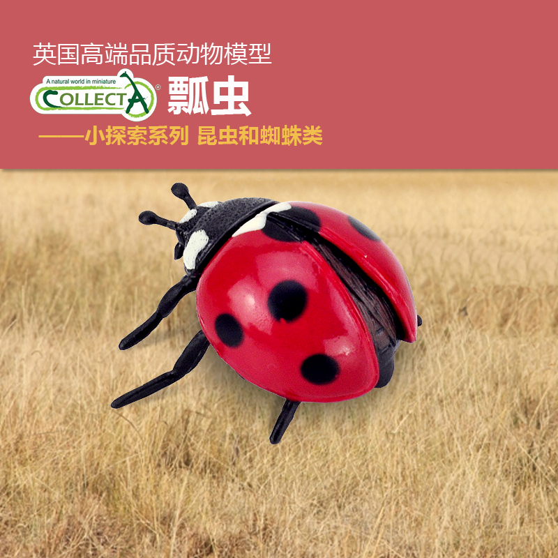 英国动物模型认知摆件我你他昆虫