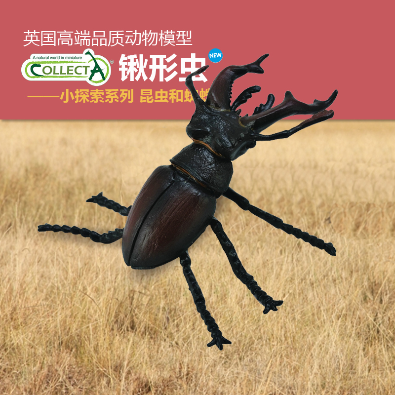 锹形虫仿真动物模型玩具