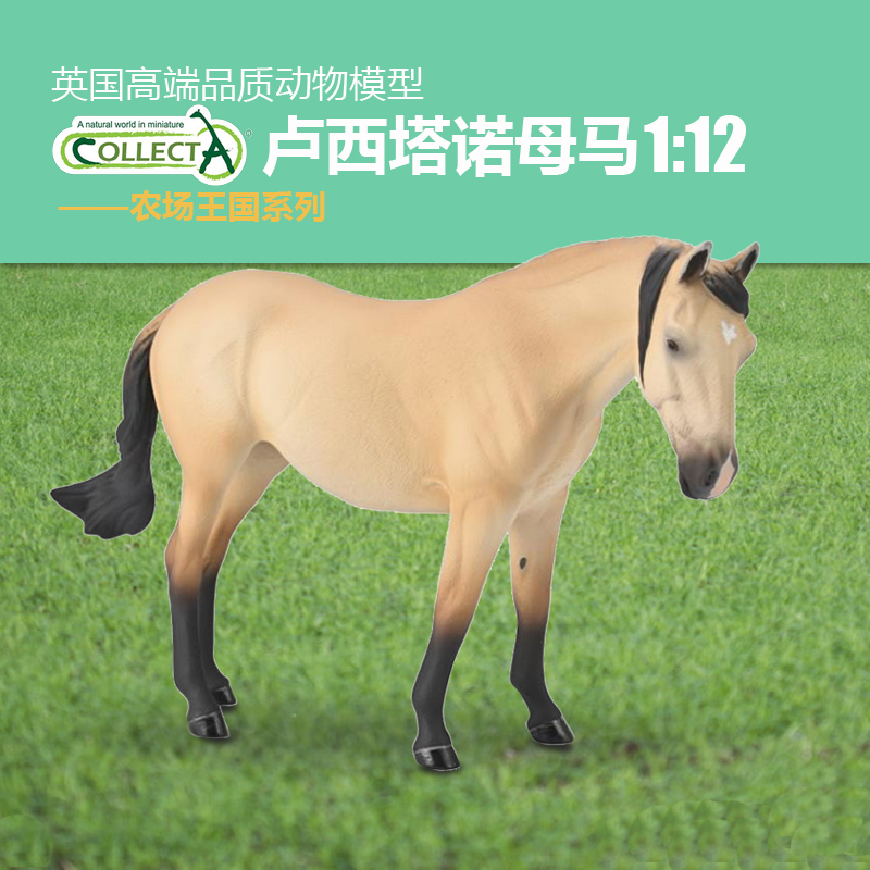 CollectA卢西塔诺母马模型玩具