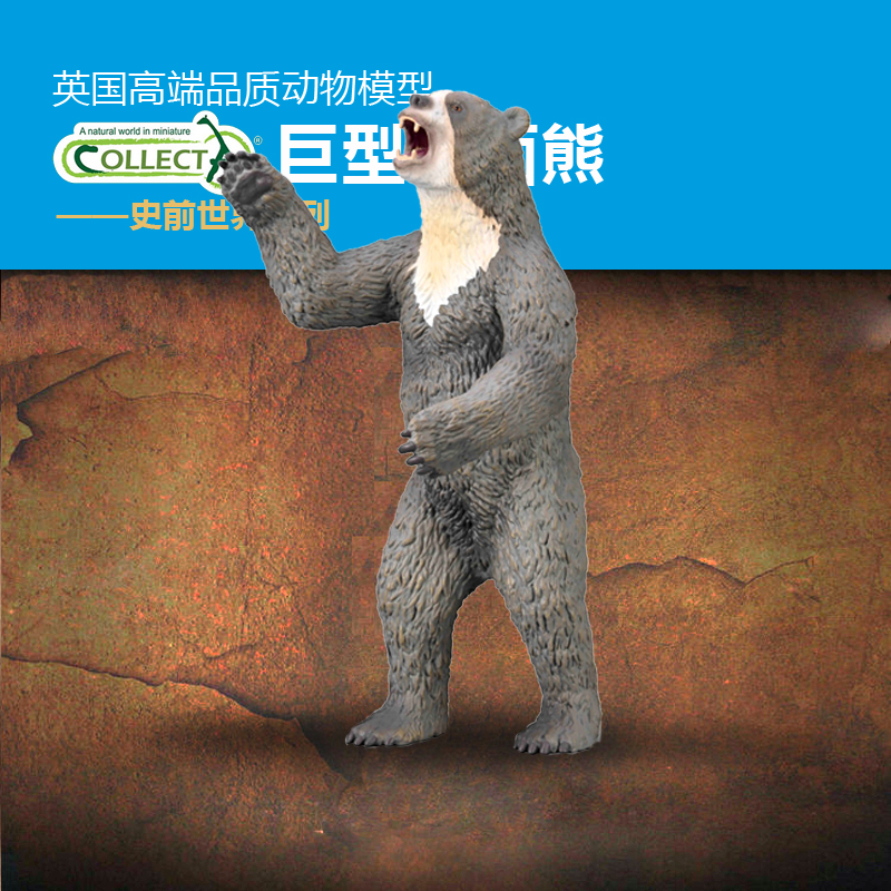 巨型短面熊英国礼物我你他