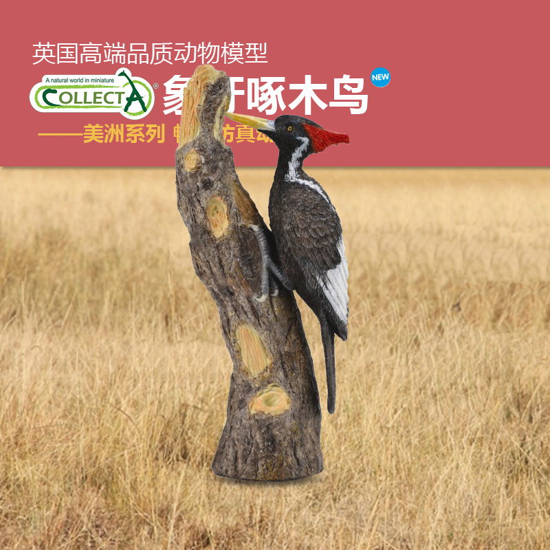 英国我你他教具认知摆件动物模型