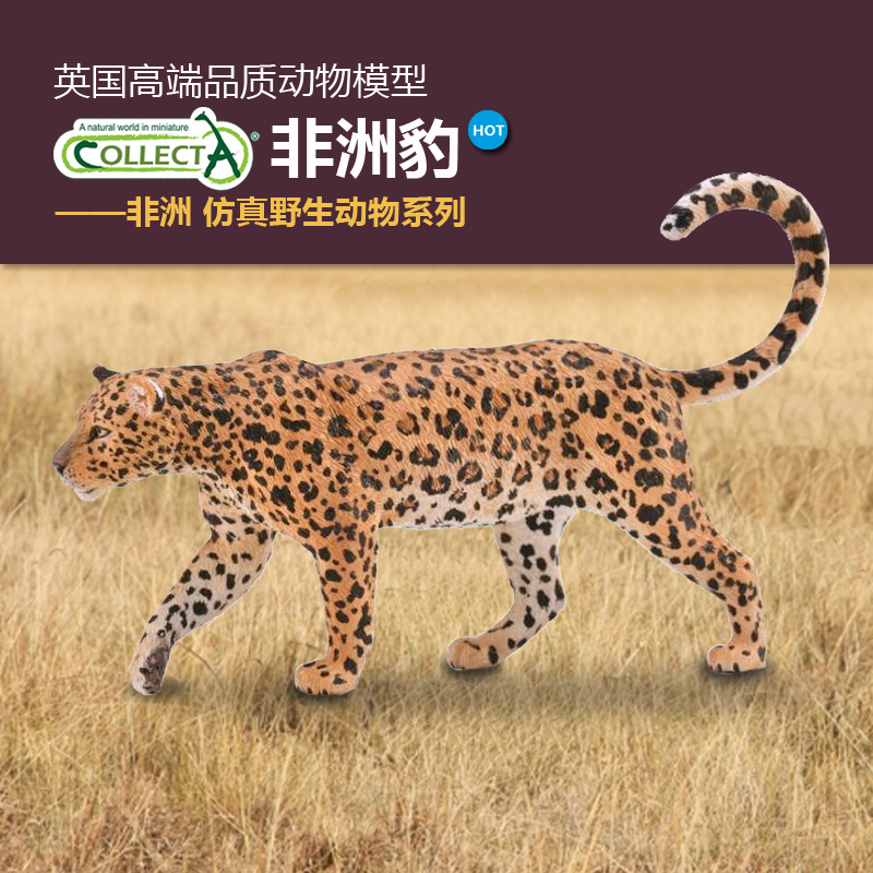 动物认知英国collecta豹子早教具